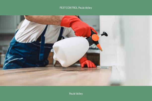 PEST CONTROL Pauls Valley
